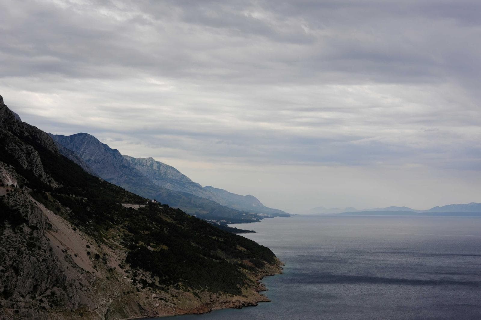 Grey coast