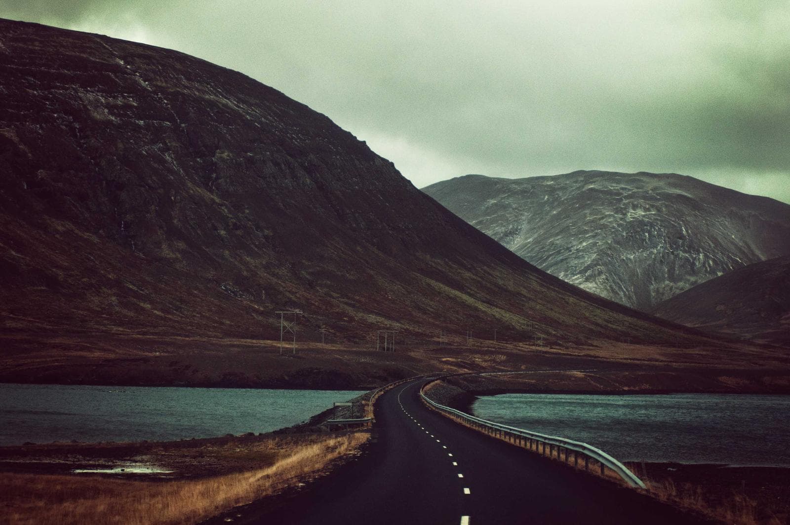 Road through green
