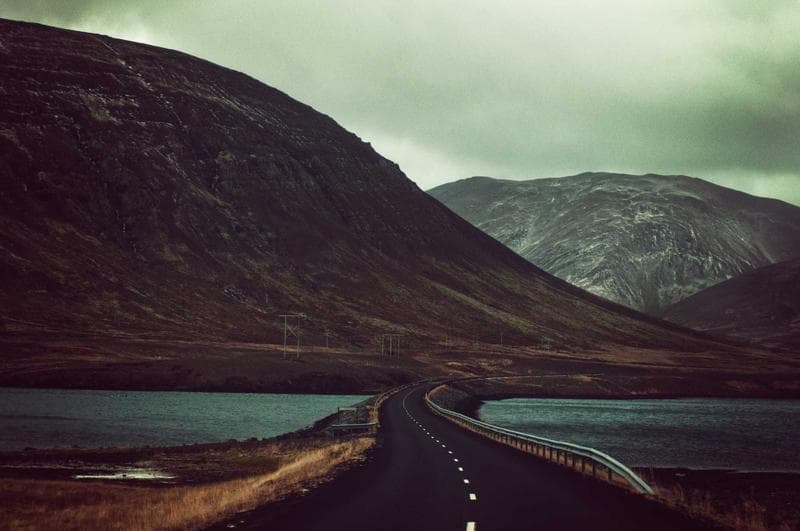 Road through green