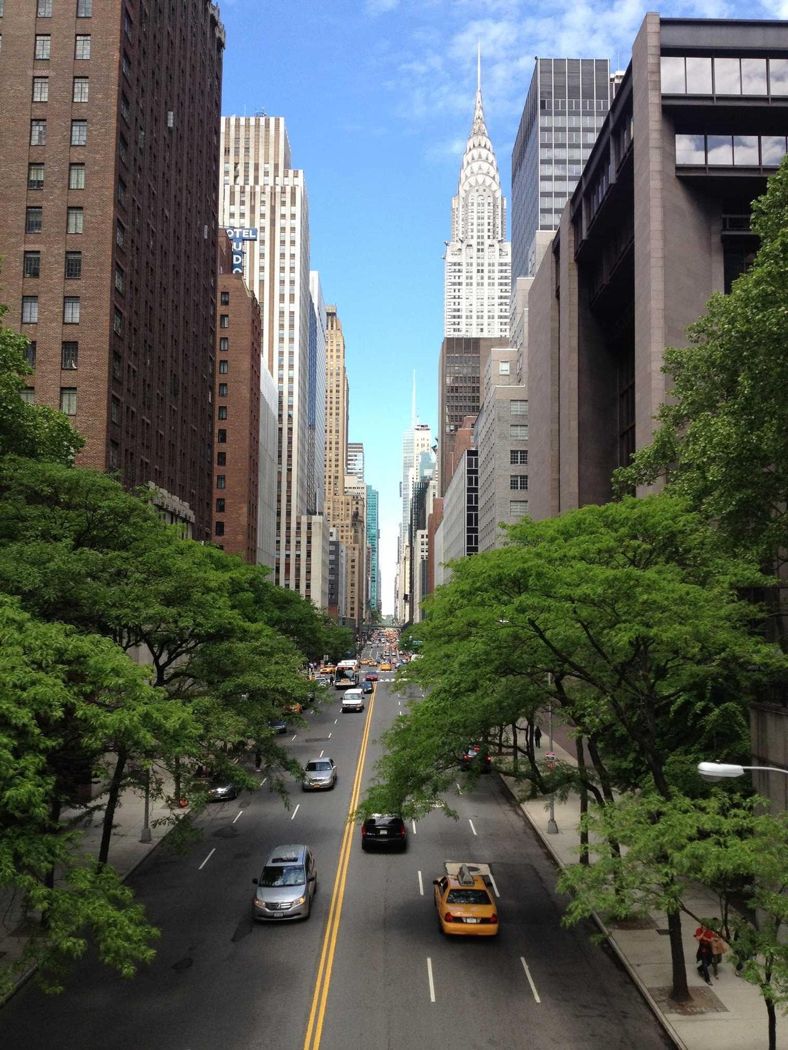 Tree-lined street