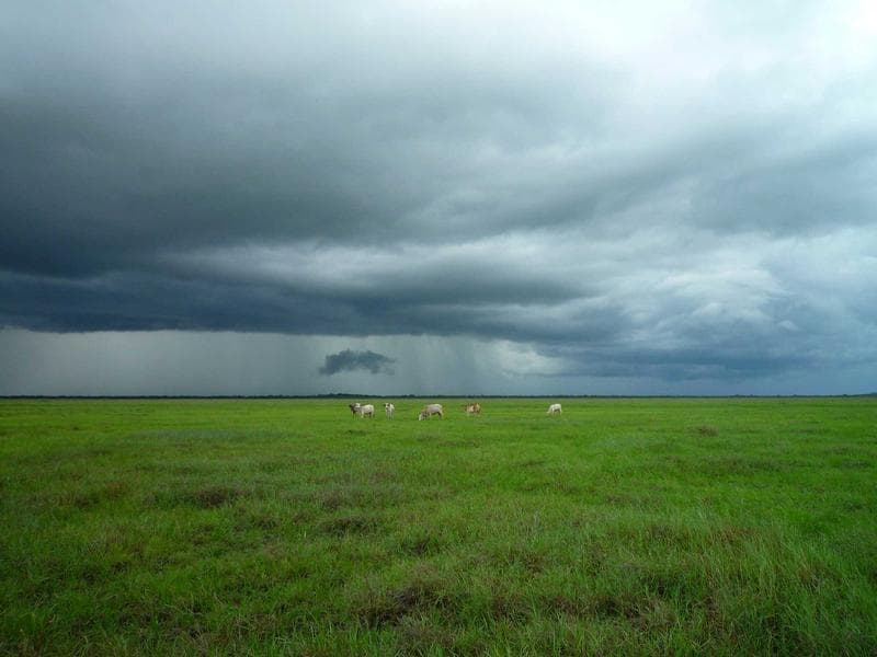 Storm over a field