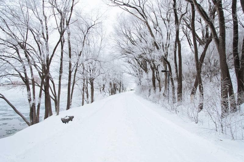 Snowy road