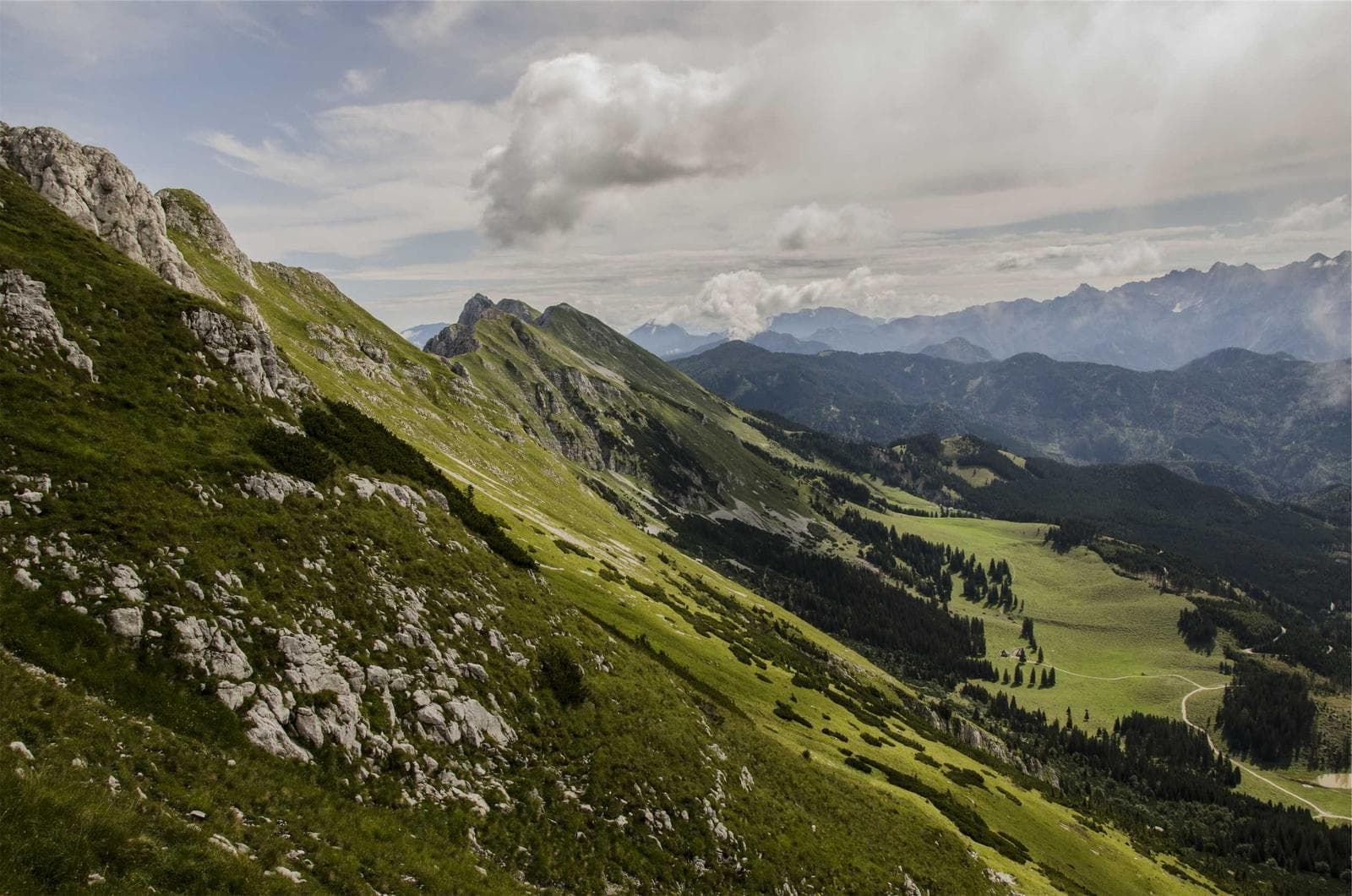 Green hills
