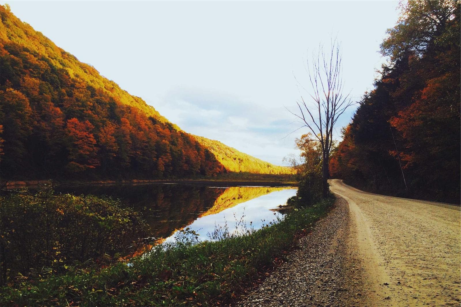 Autumn by the water