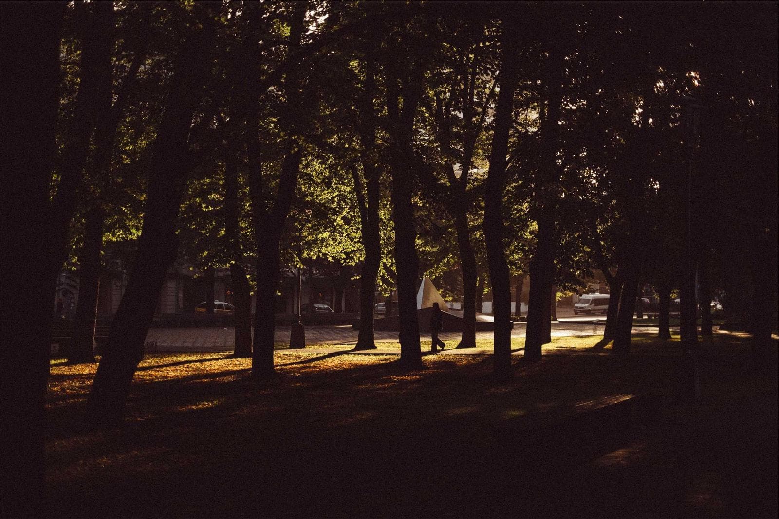 Dark avenue