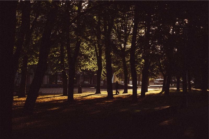 Dark avenue