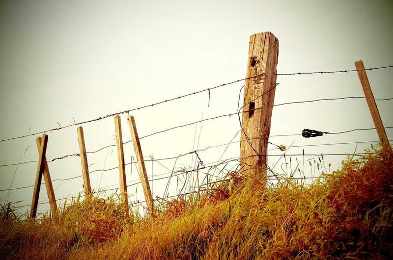 Fence across a field