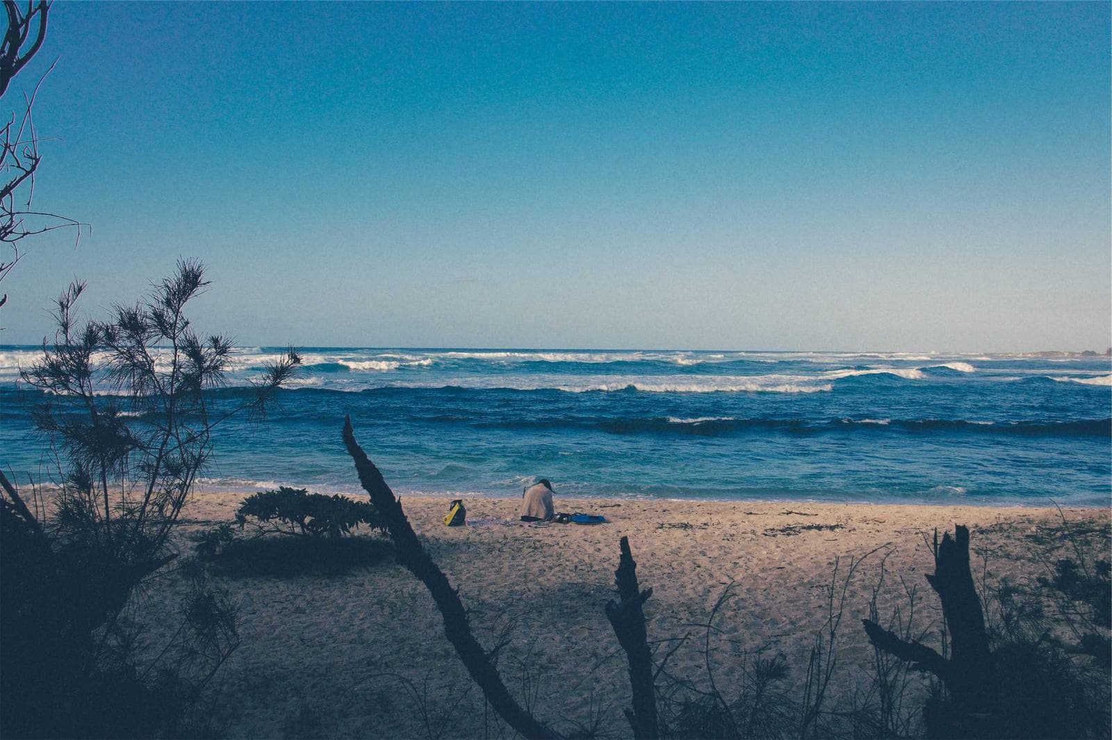 Driftwood