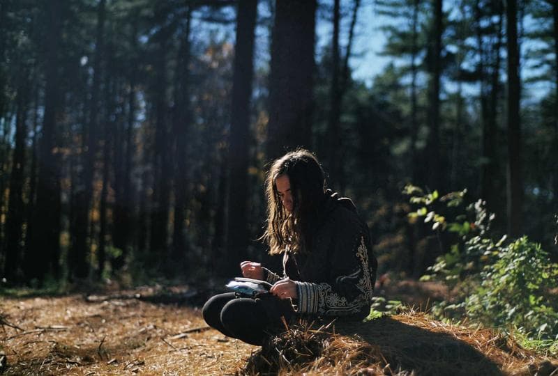 Sitting in the wood