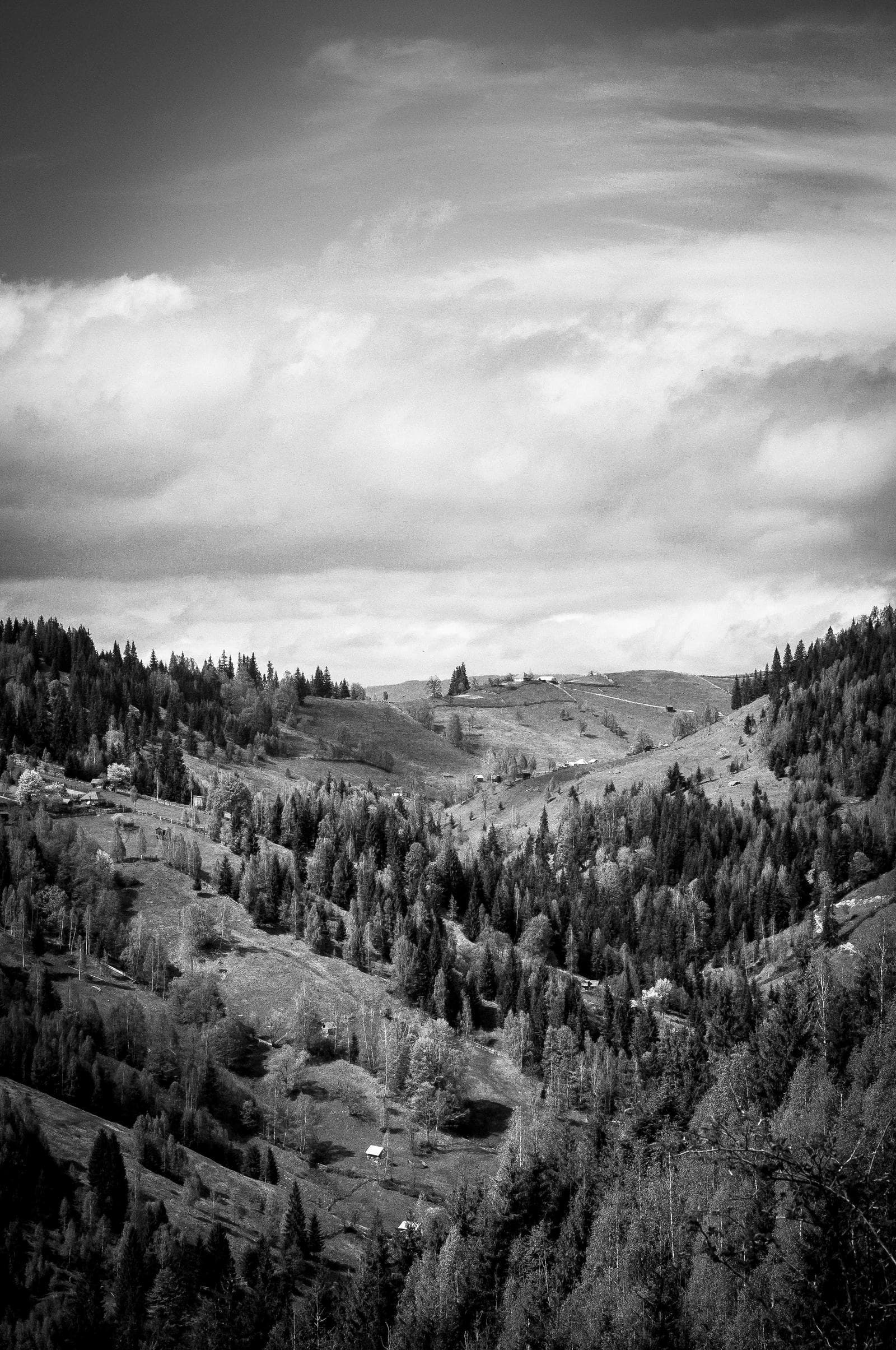 Hillside