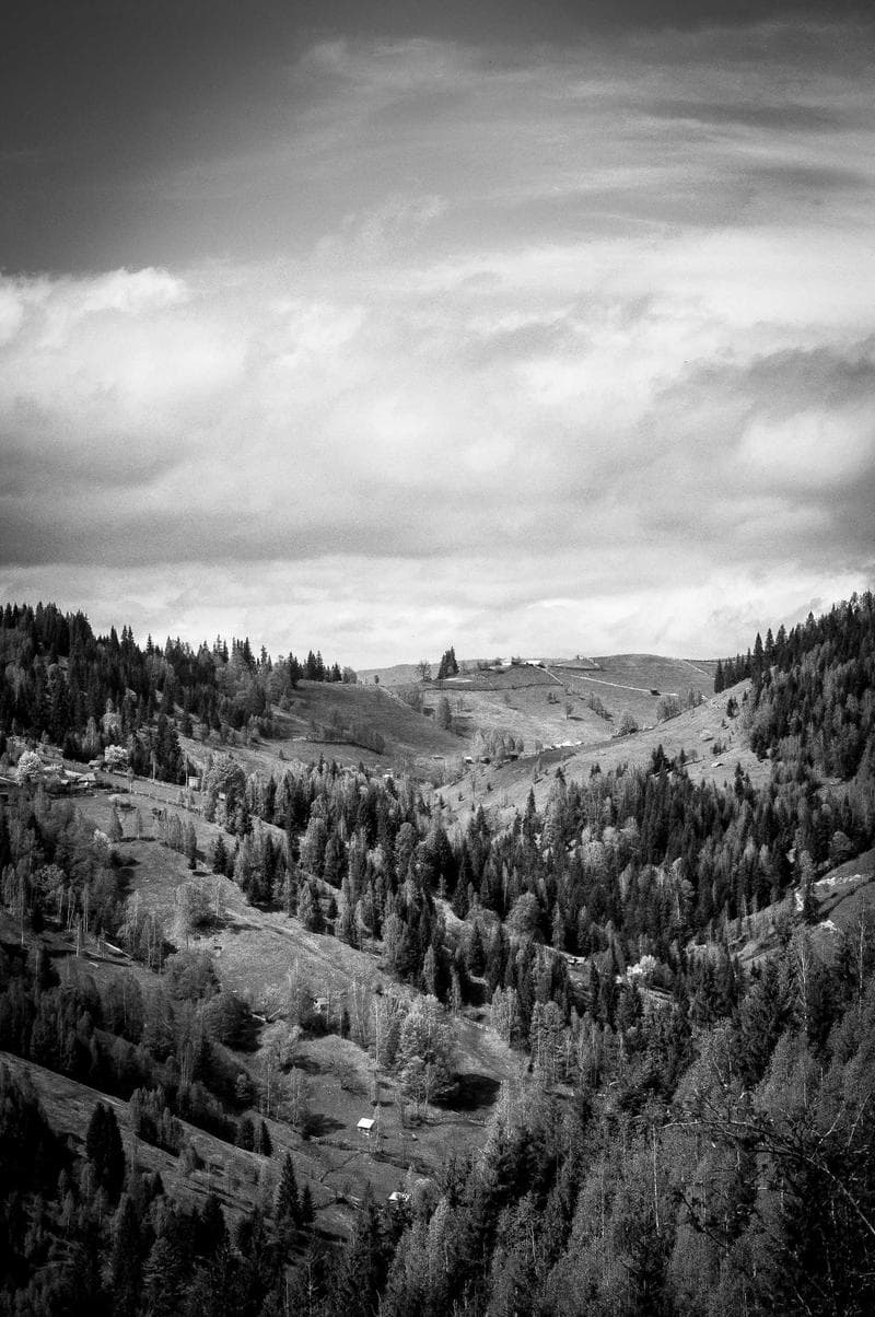 Hillside