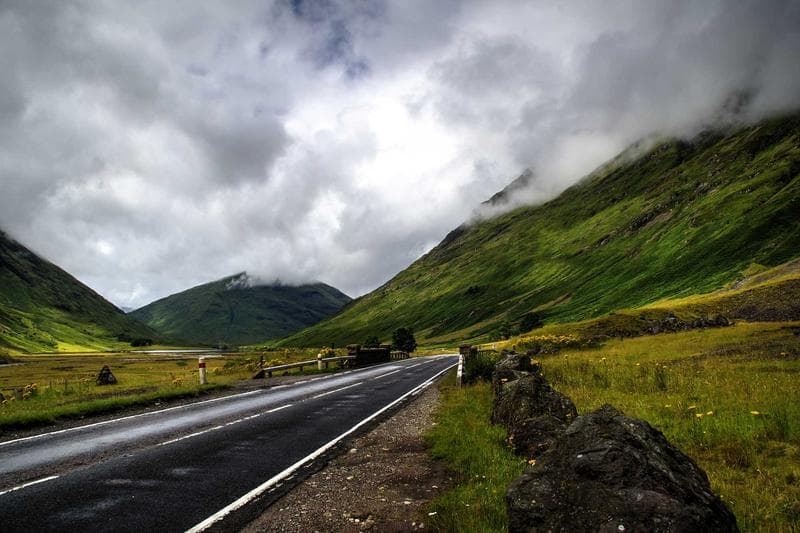 Road in the green