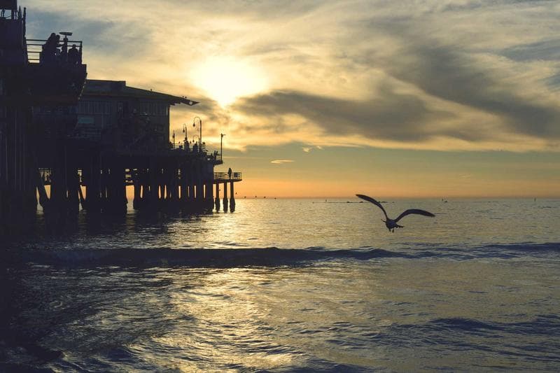 Pier at sunset