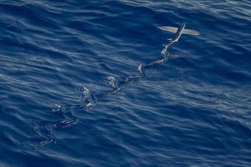 Blue water