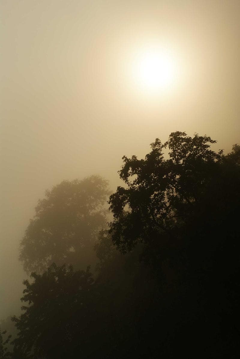 Sun through haze