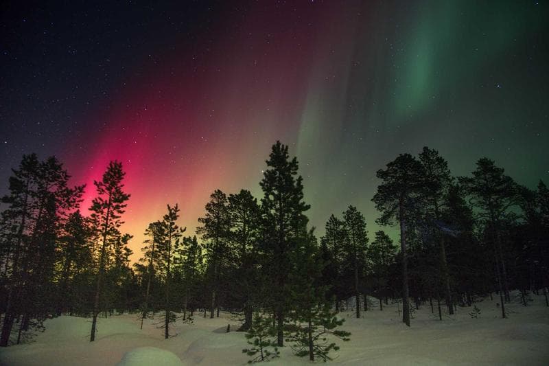 Aurora