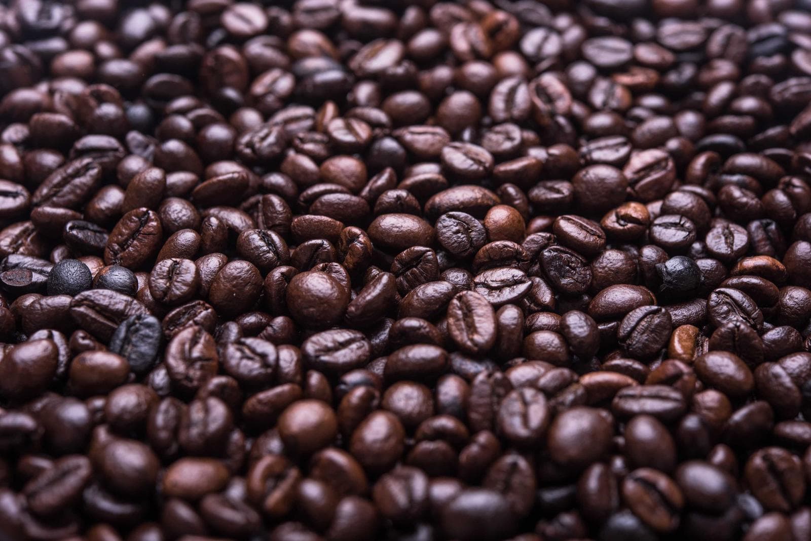 Roasted beans