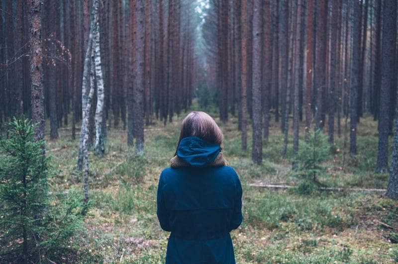 In the woods
