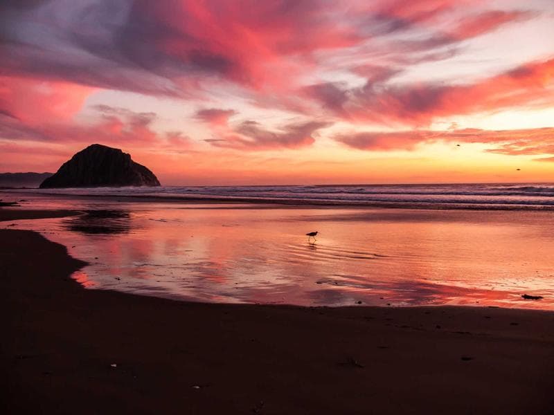 Red sunset