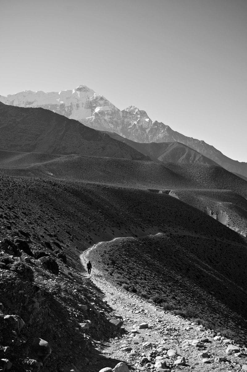 Dark mountain
