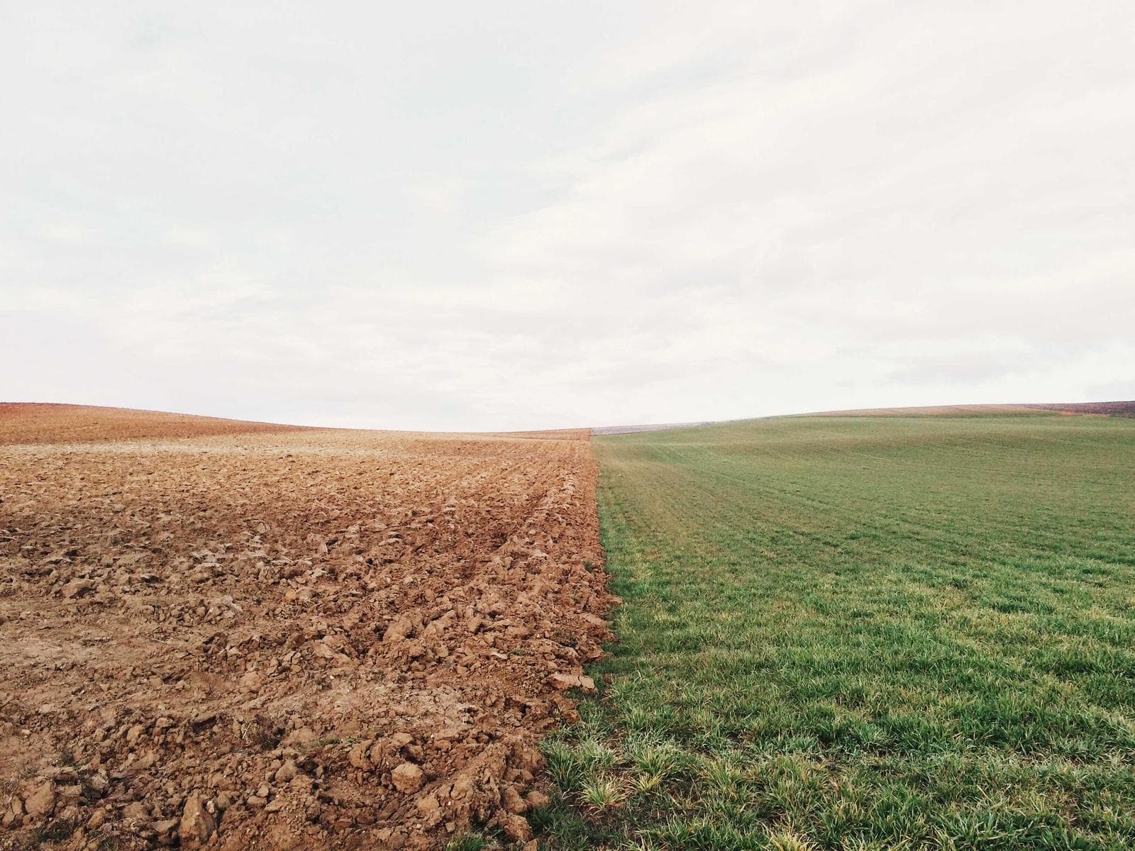 Ploughed field