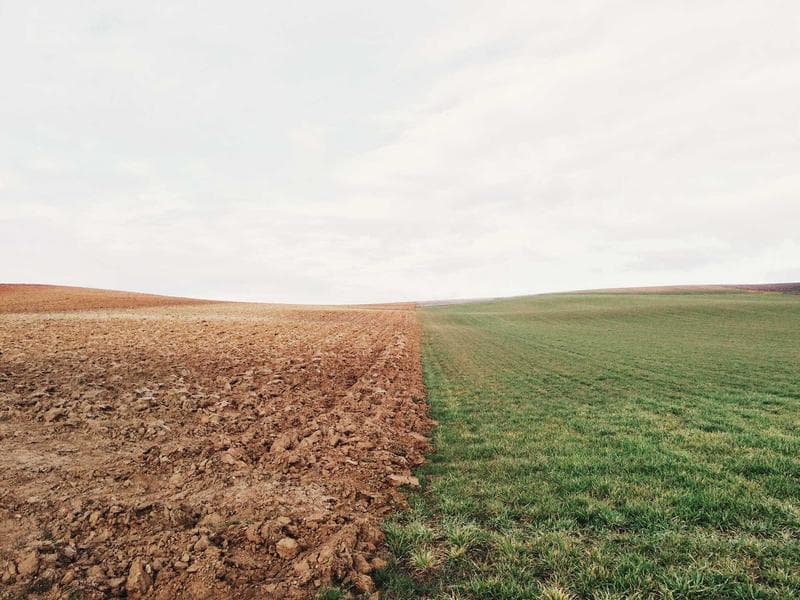 Ploughed field