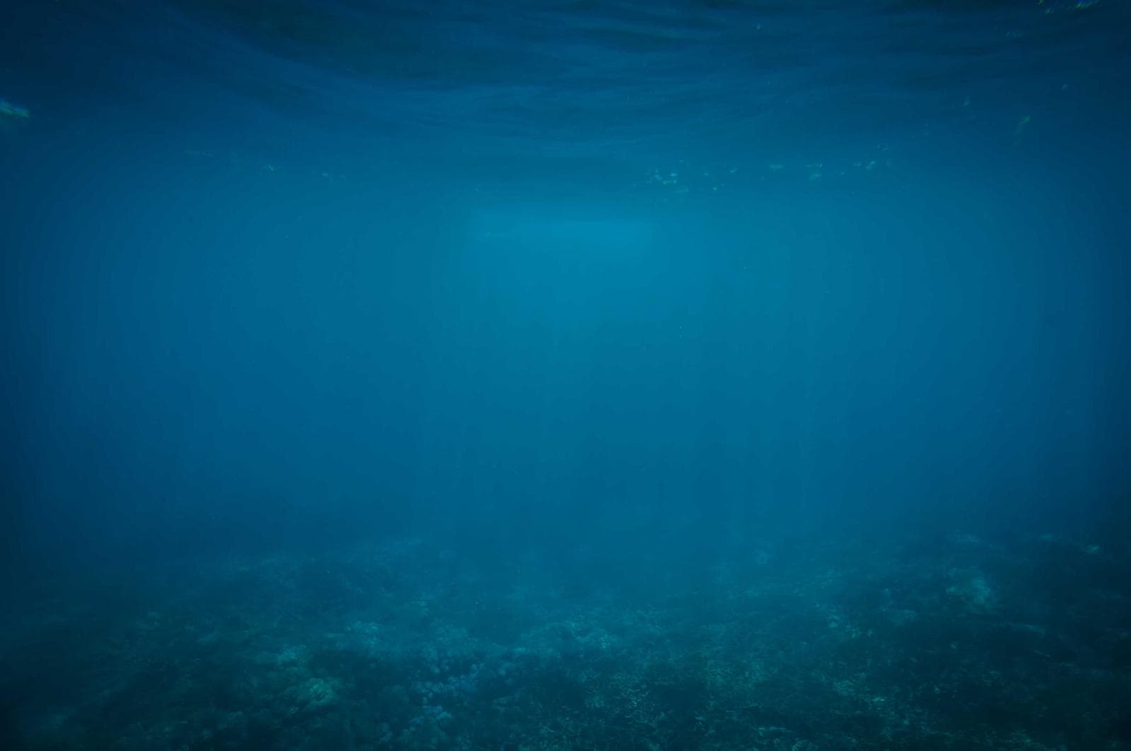 Underwater