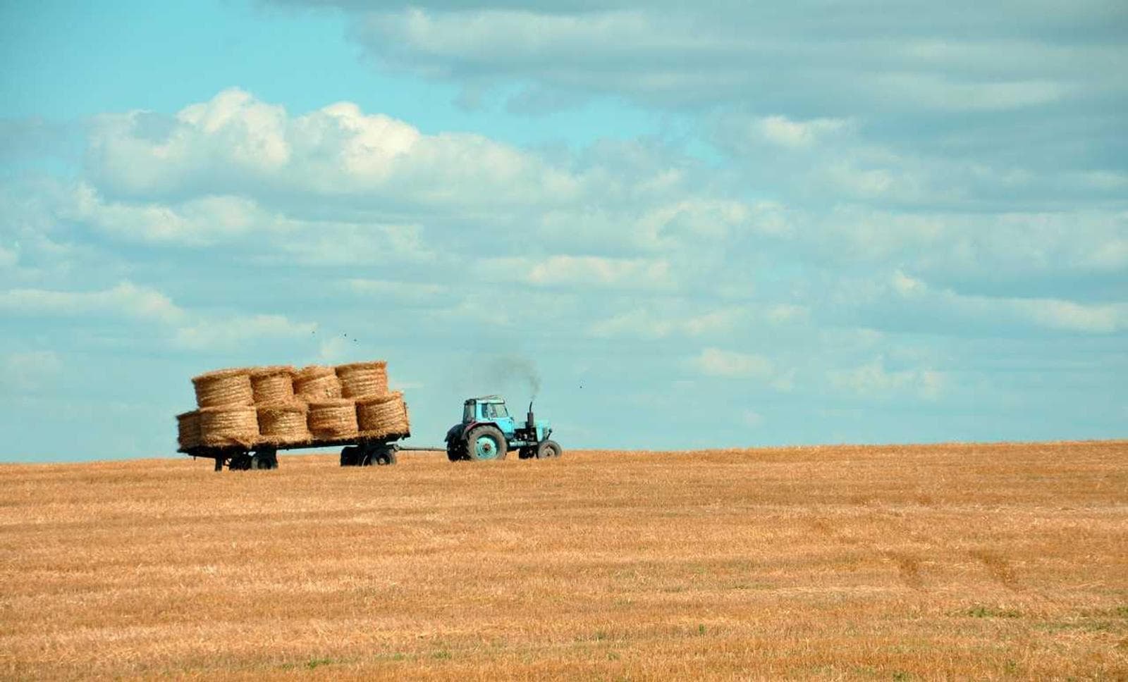 Bales in a field