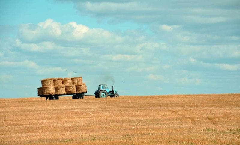Bales in a field