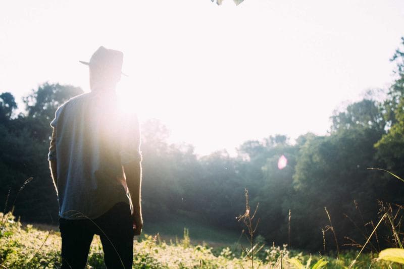 Into the sun