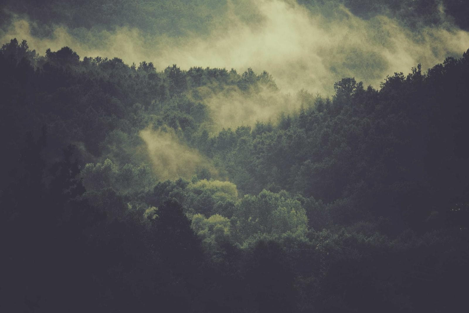 Light in the fog