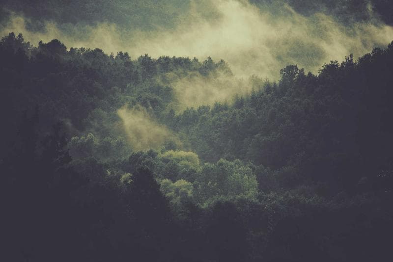 Light in the fog