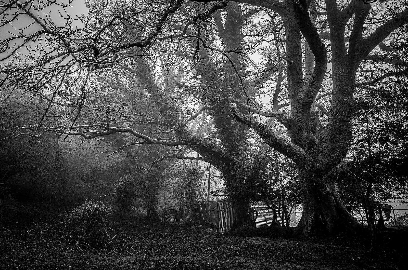 Dark wood
