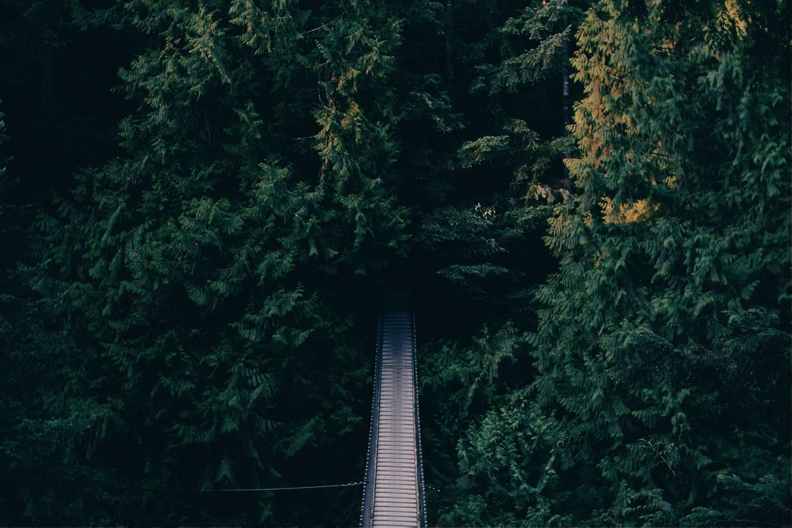 Path from above
