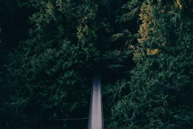 Path from above