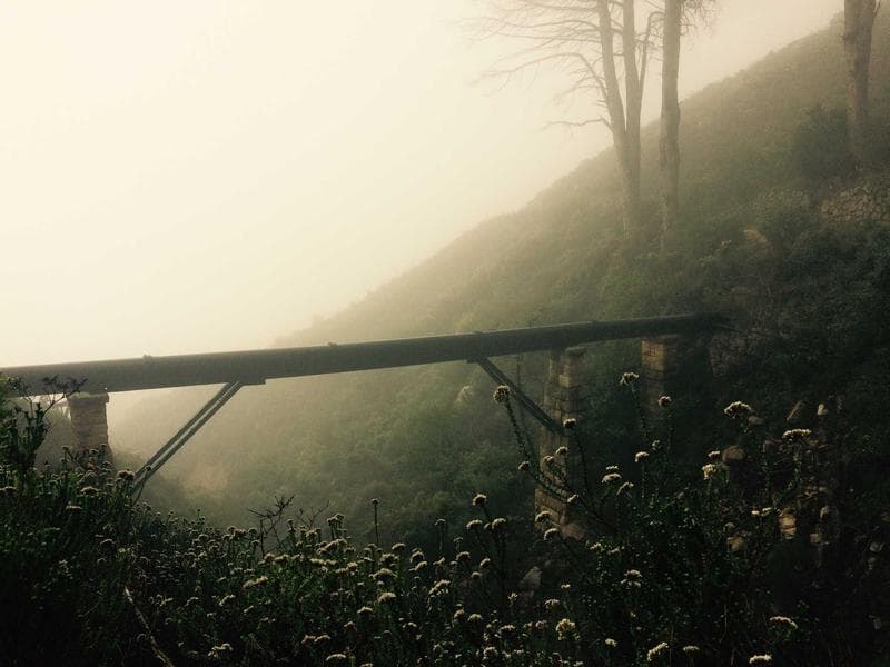 Fence in fog