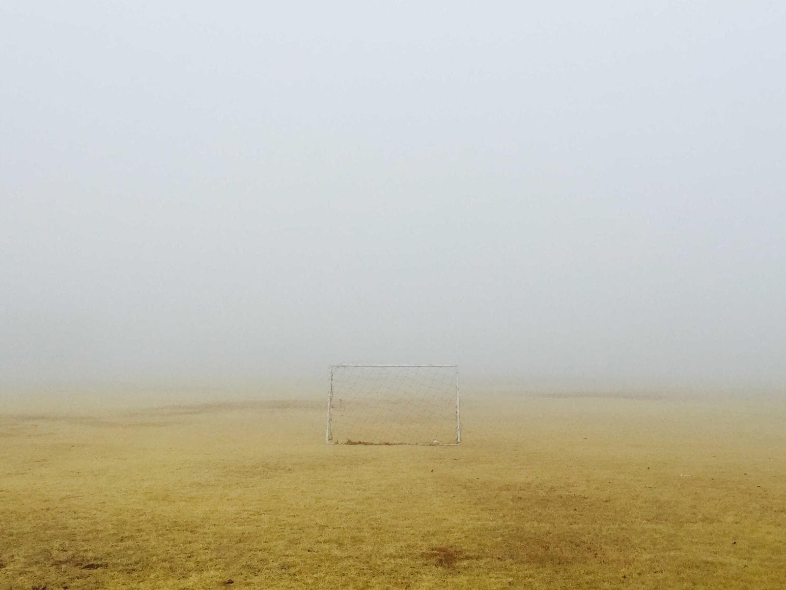 Field in fog