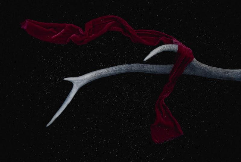 Antler and cloth