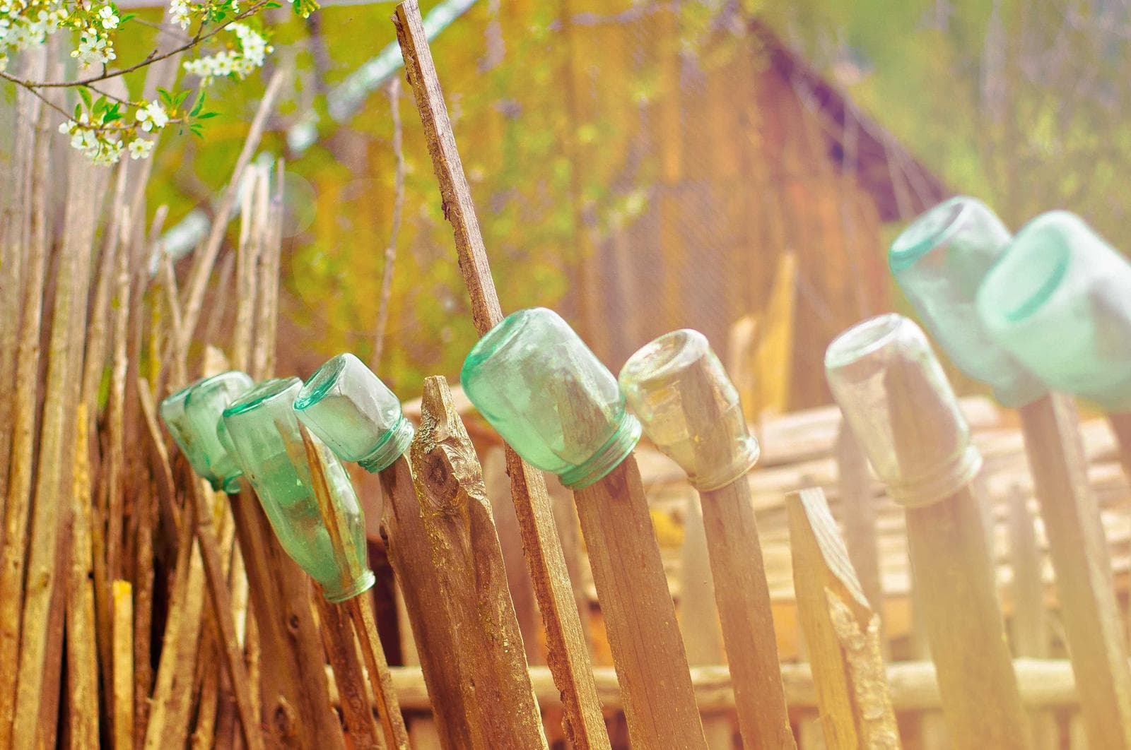 Painted fence