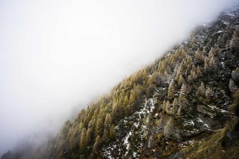 Hill in fog