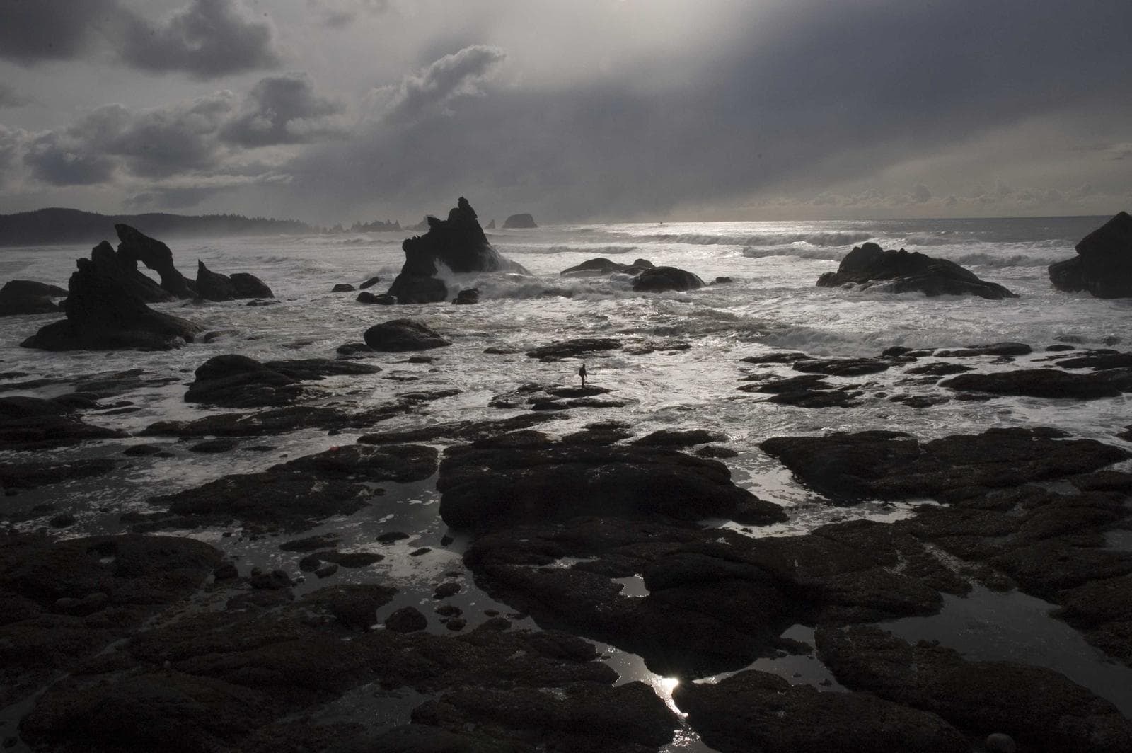 Rocks in mono