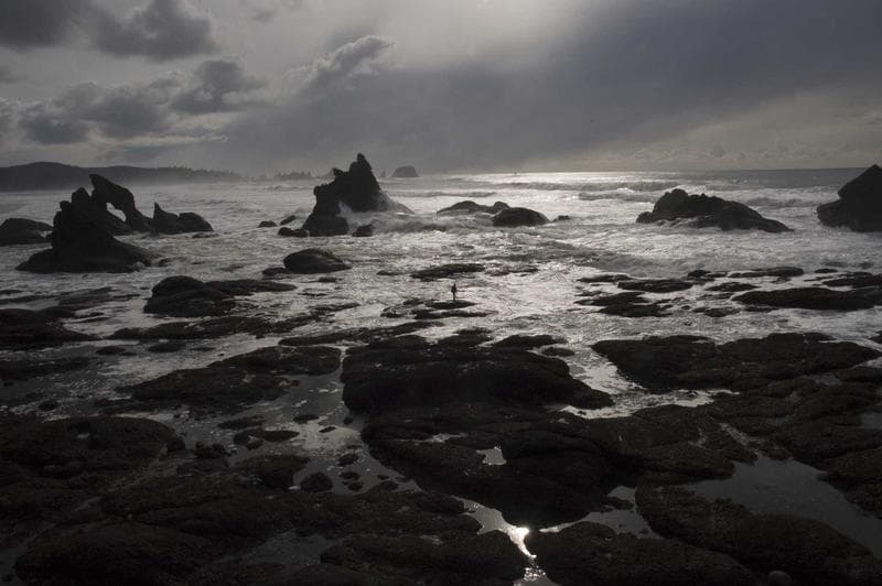 Rocks in mono