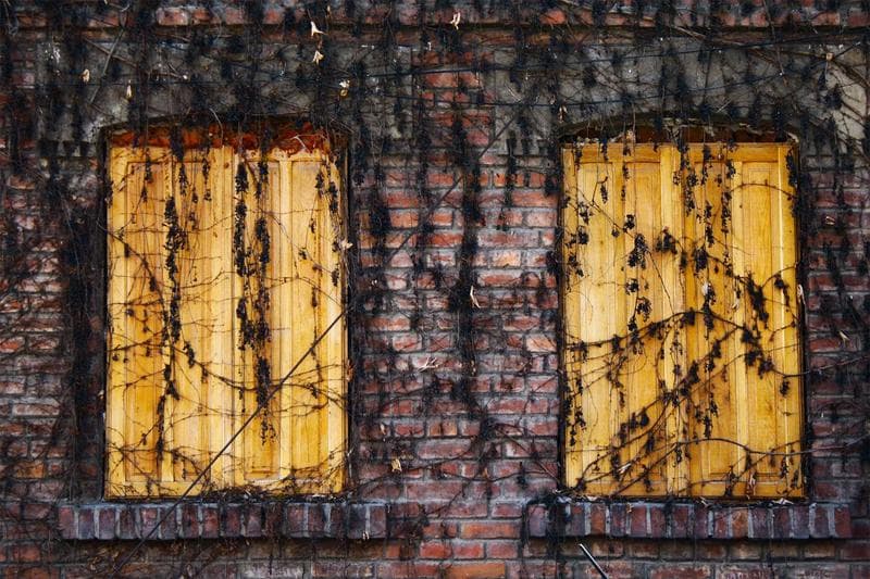 Rusted yellow