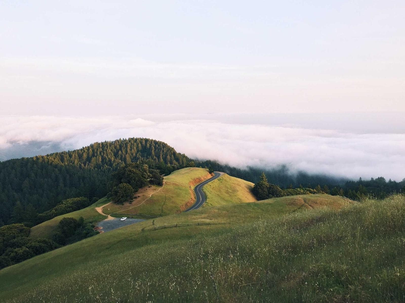 Green hills in fog