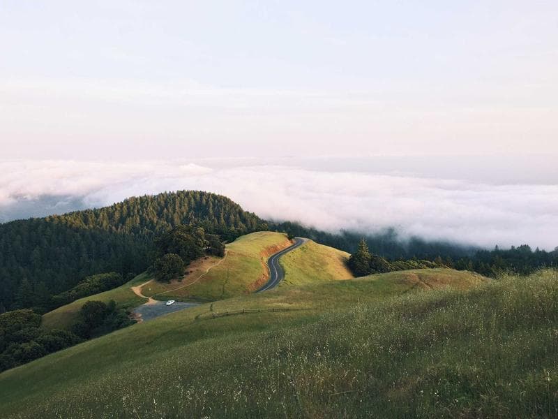 Green hills in fog