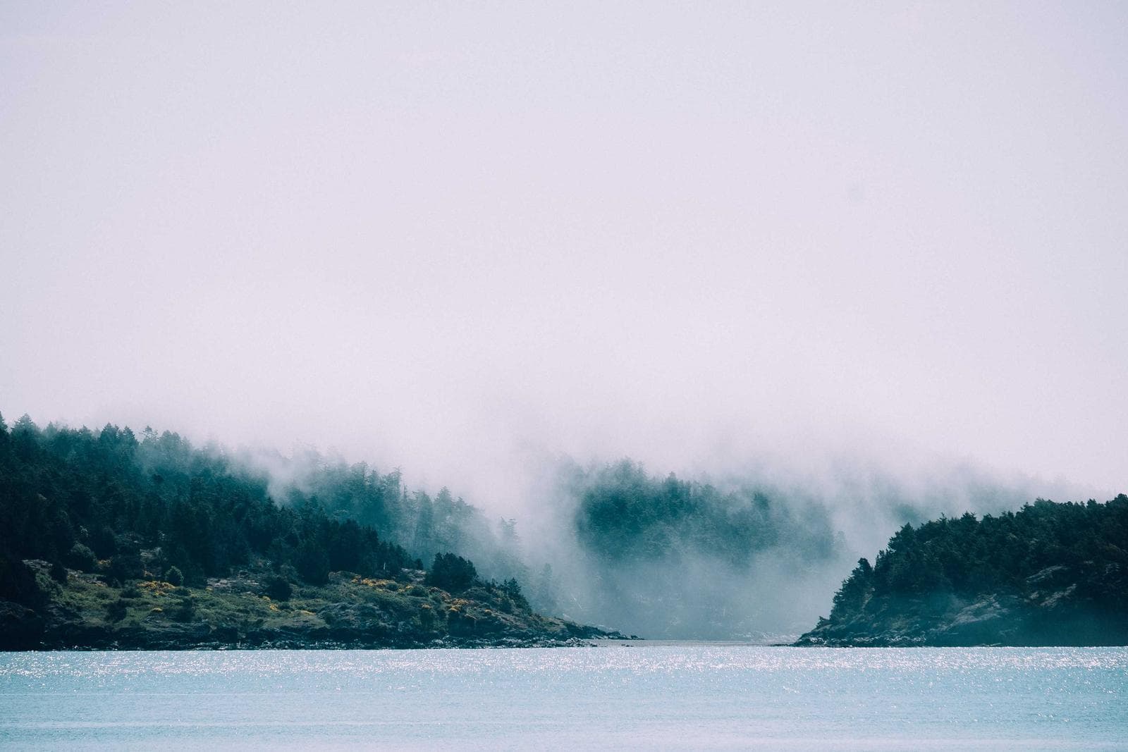 Pale sea