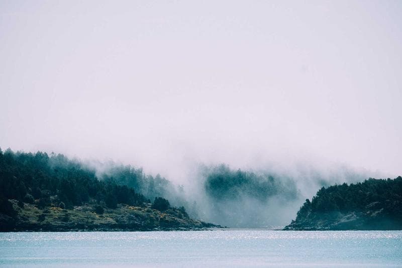 Pale sea