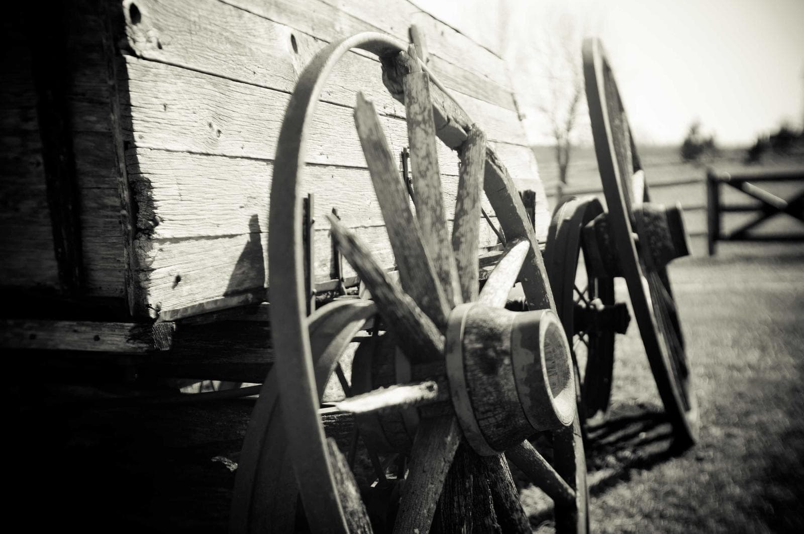 Rusted wheel
