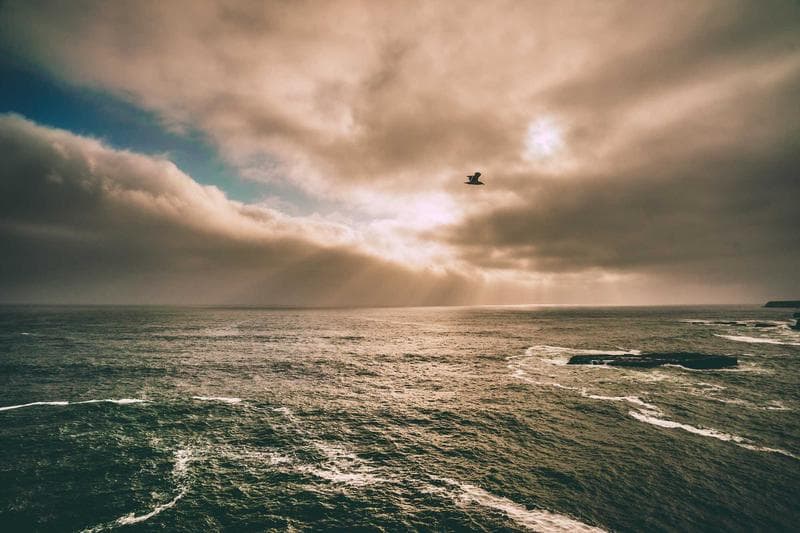 Storm at sea