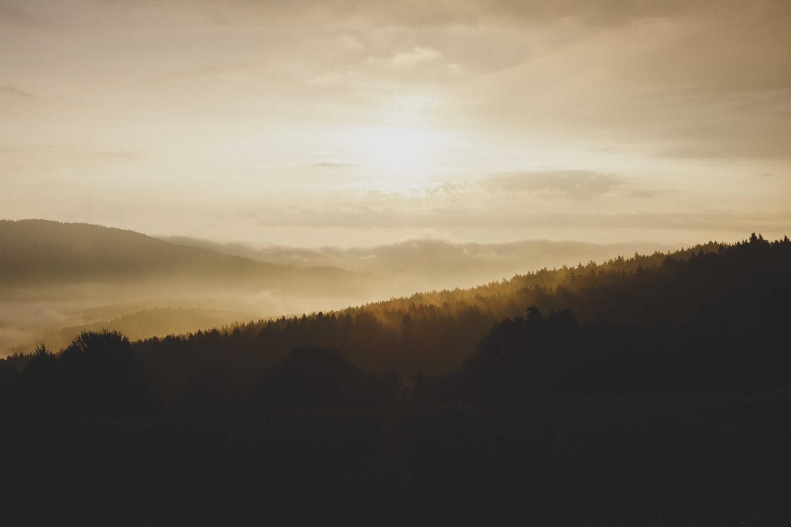 Golden hills